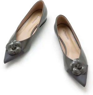 C.Paravano Flat Shoes for Women | Pointed Toe Shoes for Women | Women Pumps | Women's Flats | Pointed Toe Flats | Slip on Shoes Ballet Flats (Size 5.5,Grey)