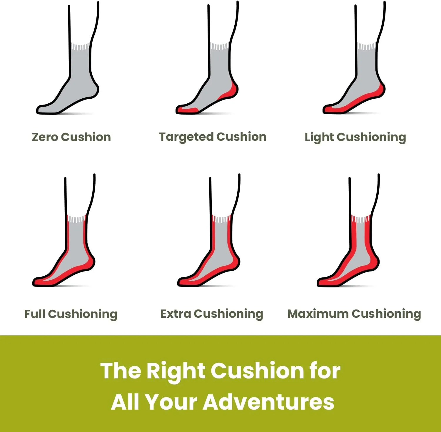 Smartwool Men's Trail Run Targeted Cushion Neature Print Crew Socks