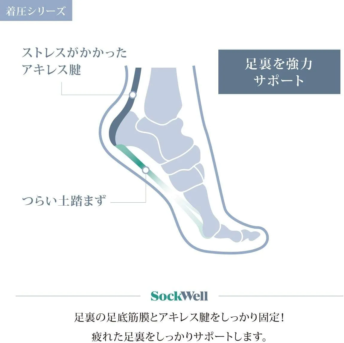 Sockwell Women's Plantar Cush Crew Sock